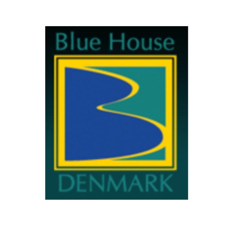 Blue House Denmark Villa Екстериор снимка